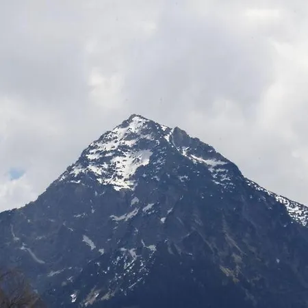 Sinzig Fischen im Allgaeu